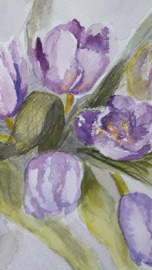 Tulipany - akwarela